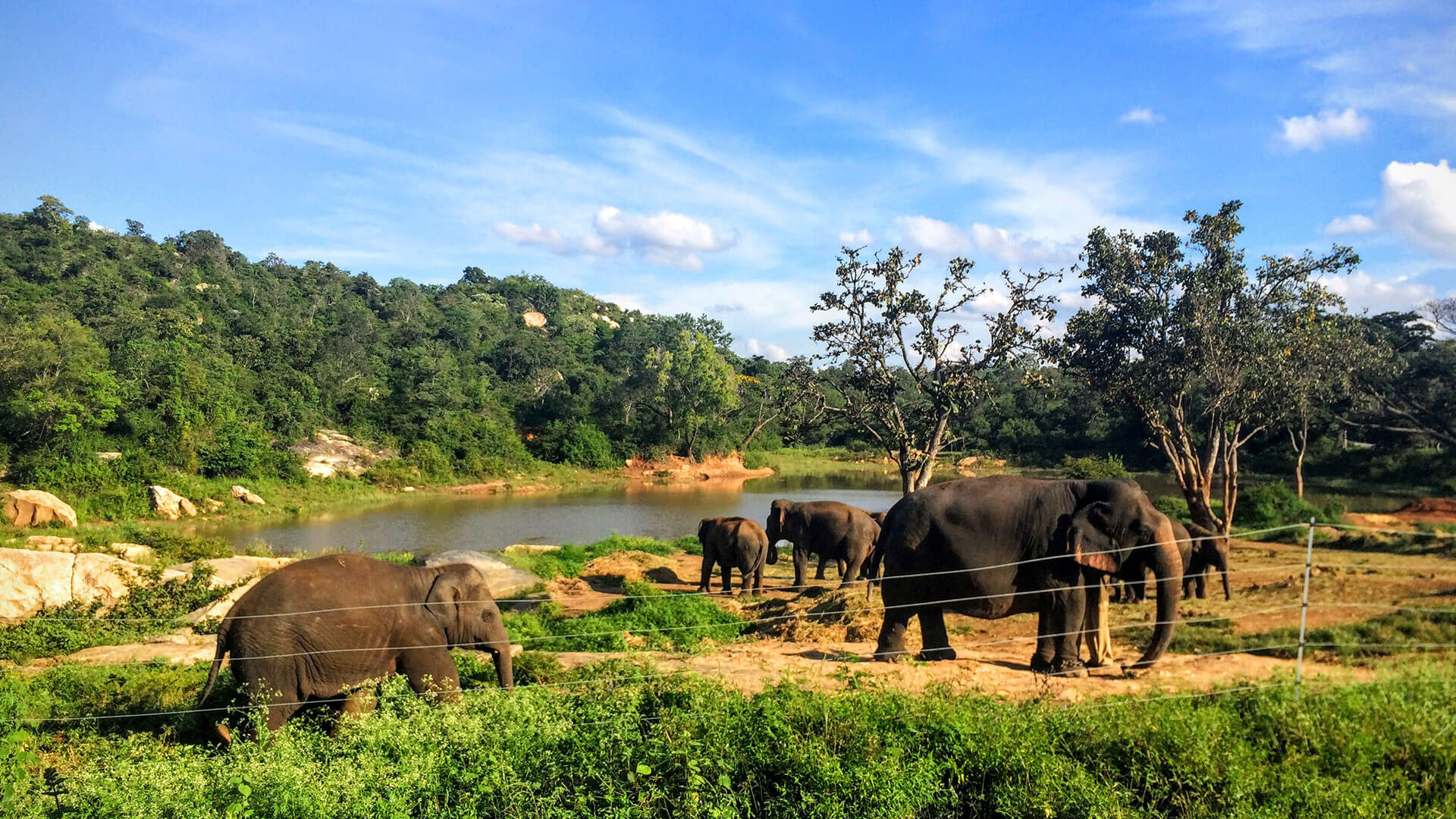 5c6cf2e987b2e Bannerghatta National Park Sightseeing 